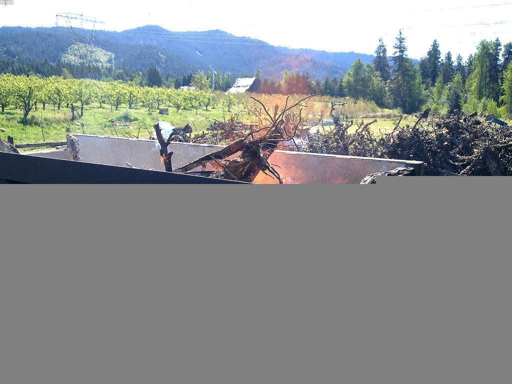 ផលប៉ះពាល់នៃការប្រកួតគុណភាពដល់ការបង្កើតច្នៃប្រឌិត