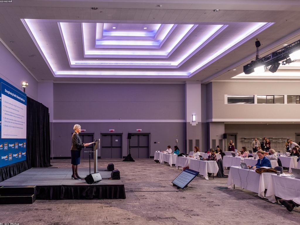 ដំណោះស្រាយហិរញ្ញវត្ថុសម្រាប់សុខភាពផ្លូវចិត្ត